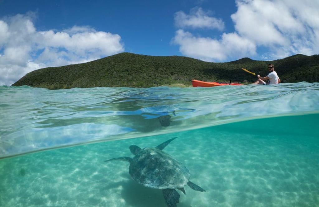 Arajilla Retreat Villa Lord Howe Island Bagian luar foto