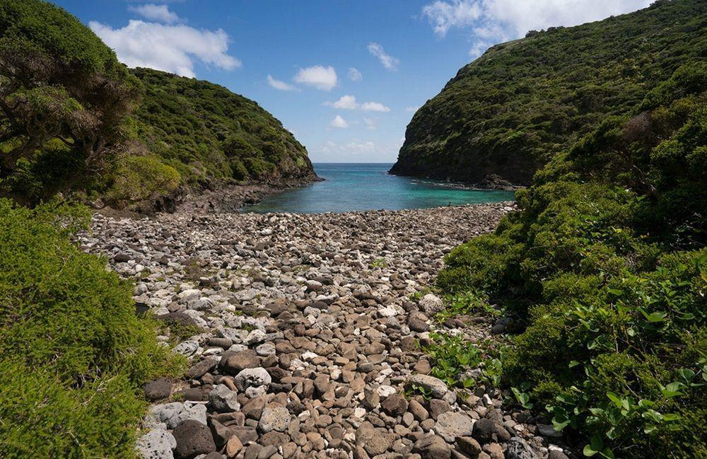 Arajilla Retreat Villa Lord Howe Island Bagian luar foto