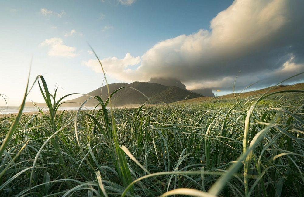 Arajilla Retreat Villa Lord Howe Island Bagian luar foto